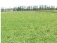 39-42 Mitchell River Flat Road, Bairnsdale VIC 3875