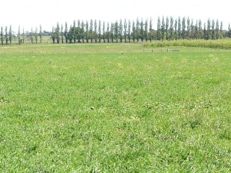 39-42 Mitchell River Flat Road, Bairnsdale VIC 3875