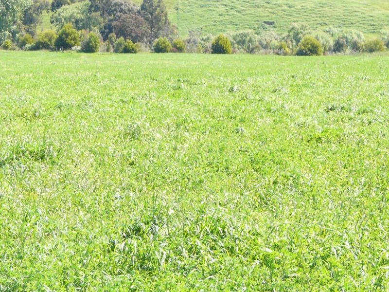 39-42 Mitchell River Flat Road, Bairnsdale VIC 3875