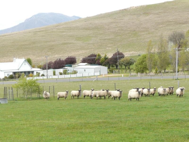 72 MacFarlane Street, Benambra VIC 3900