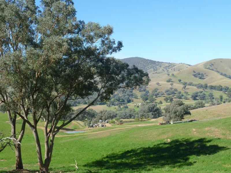 7485 Great Alpine Road, Swifts Creek VIC 3896