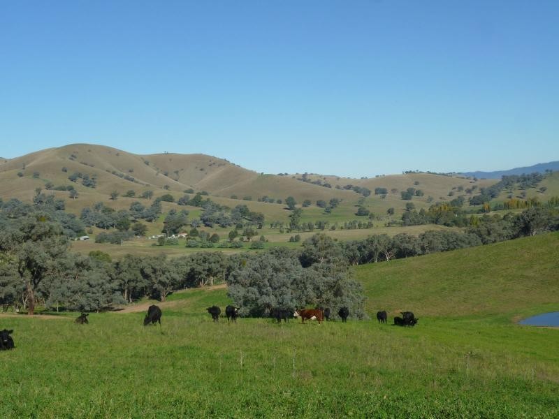 7485 Great Alpine Road, Swifts Creek VIC 3896