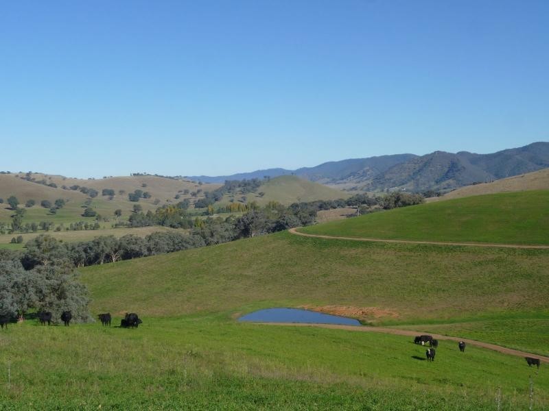 7485 Great Alpine Road, Swifts Creek VIC 3896