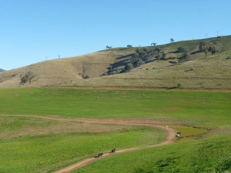 7485 Great Alpine Road, Swifts Creek VIC 3896