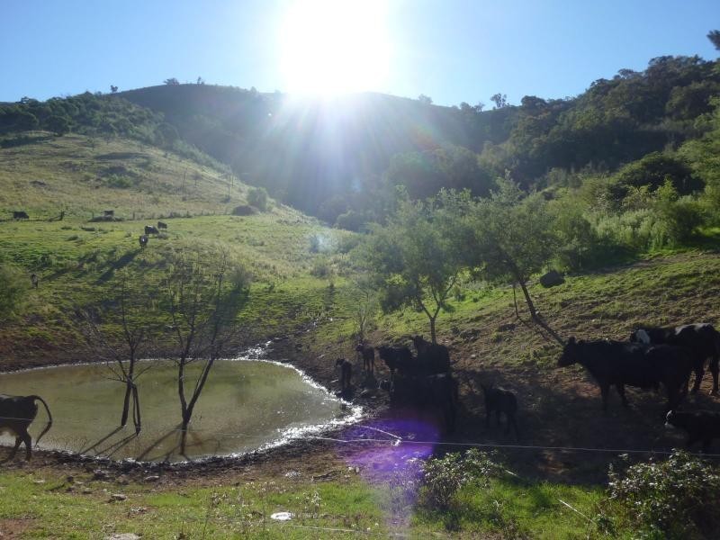 7485 Great Alpine Road, Swifts Creek VIC 3896