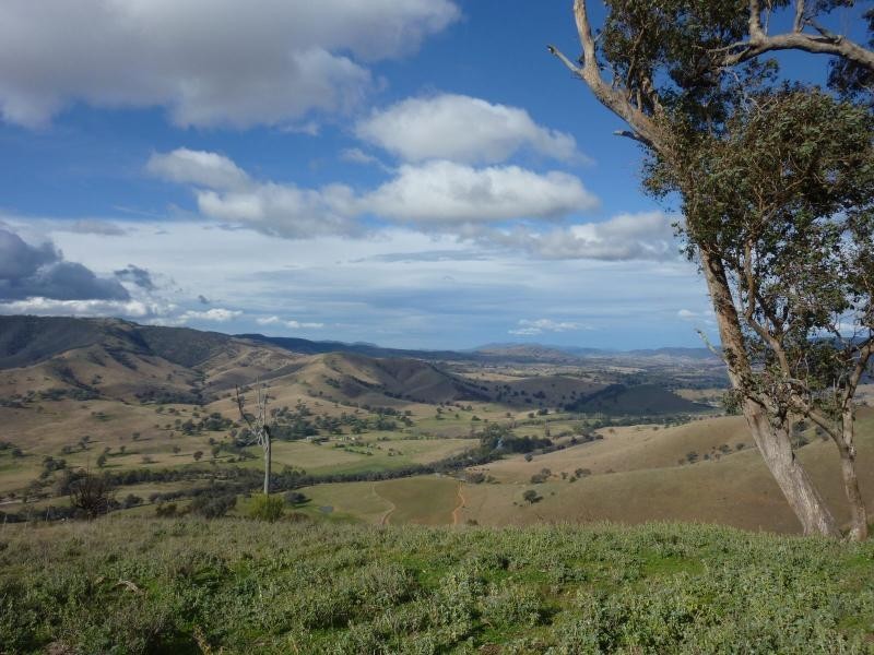 7485 Great Alpine Road, Swifts Creek VIC 3896