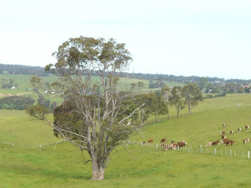 924 Stephenson Road, Tambo Upper VIC 3885