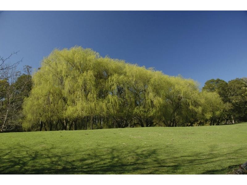 540 Archies Road, Bairnsdale VIC 3875