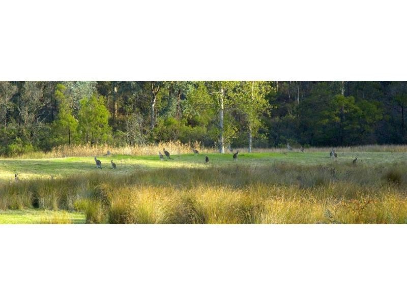 540 Archies Road, Bairnsdale VIC 3875