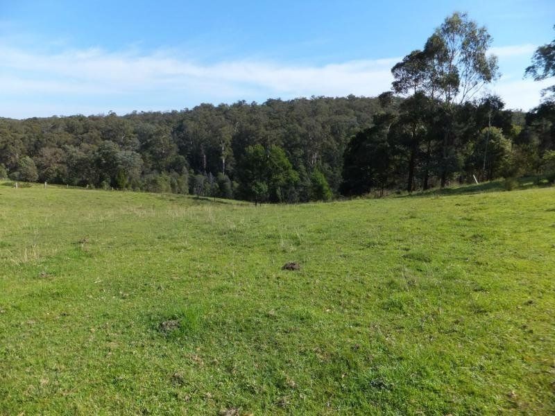 16 Delahunty Street, Bruthen VIC 3885