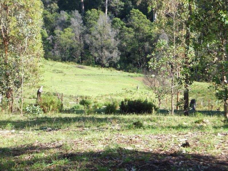 16 Delahunty Street, Bruthen VIC 3885