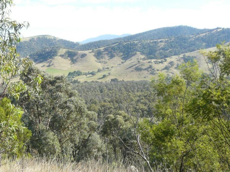 738 Bindi Road, Bindi VIC 3896