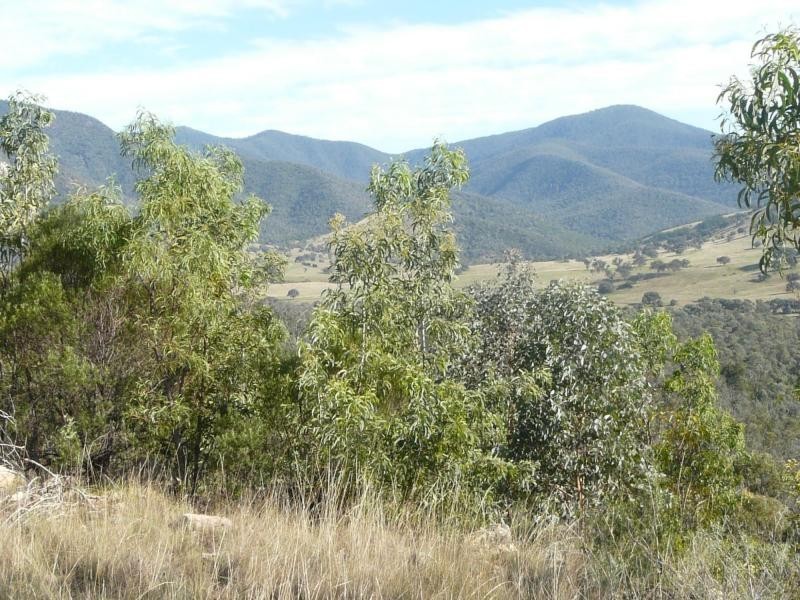 738 Bindi Road, Bindi VIC 3896