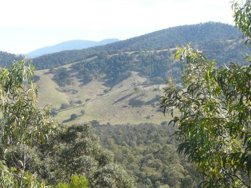 738 Bindi Road, Bindi VIC 3896