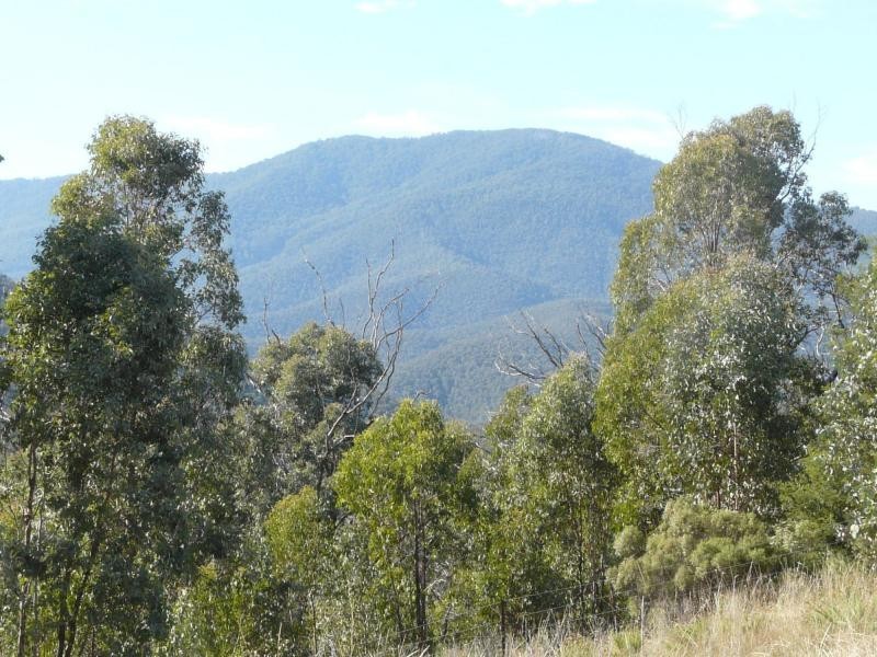 738 Bindi Road, Bindi VIC 3896