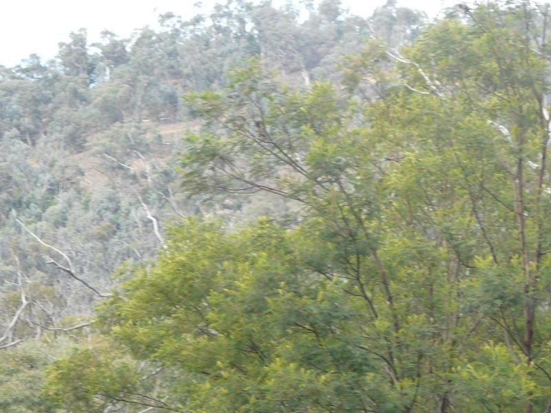 738 Bindi Road, Bindi VIC 3896