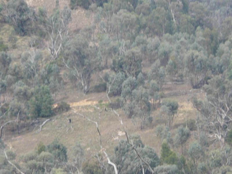 738 Bindi Road, Bindi VIC 3896