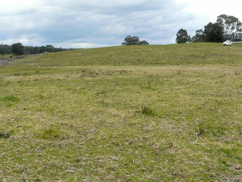 700 Nicholson Sarsfield Road, Sarsfield VIC 3875