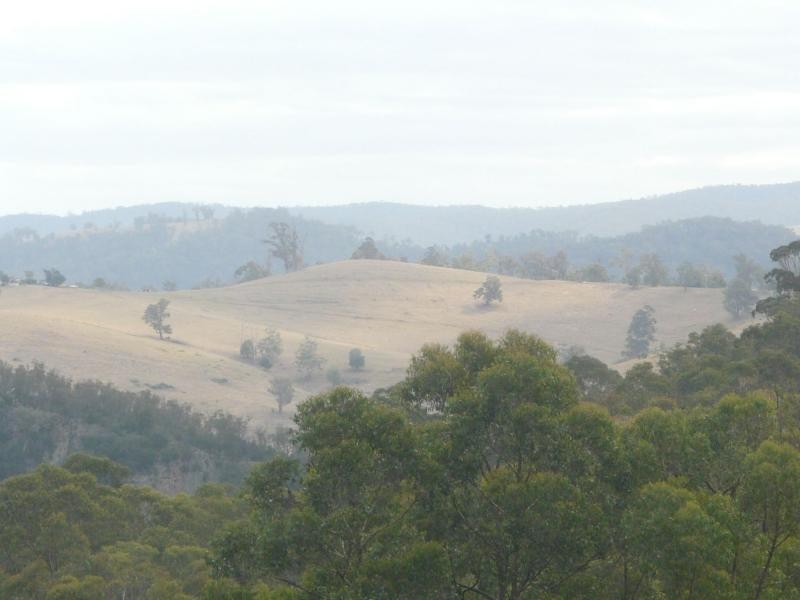 3954 Tulloch Ard Road, Buchan VIC 3885