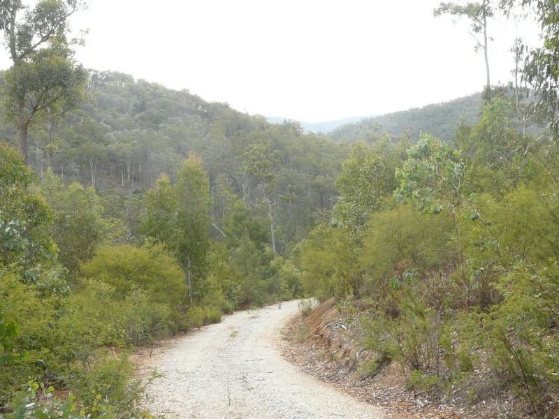 3954 Tulloch Ard Road, Buchan VIC 3885