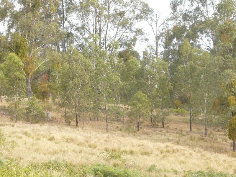 3954 Tulloch Ard Road, Buchan VIC 3885