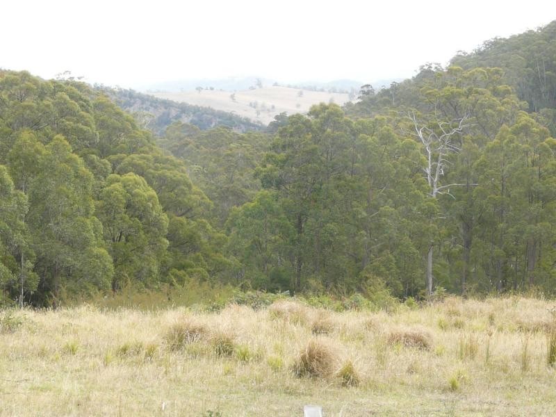 3954 Tulloch Ard Road, Buchan VIC 3885