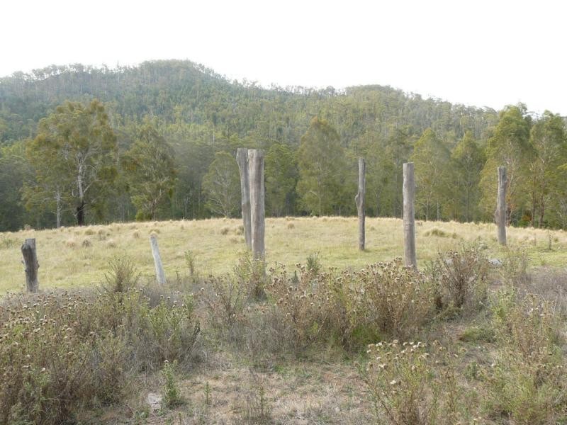 3954 Tulloch Ard Road, Buchan VIC 3885