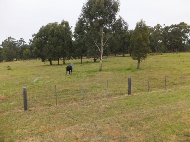 20 Hallier Court, Nicholson VIC 3882