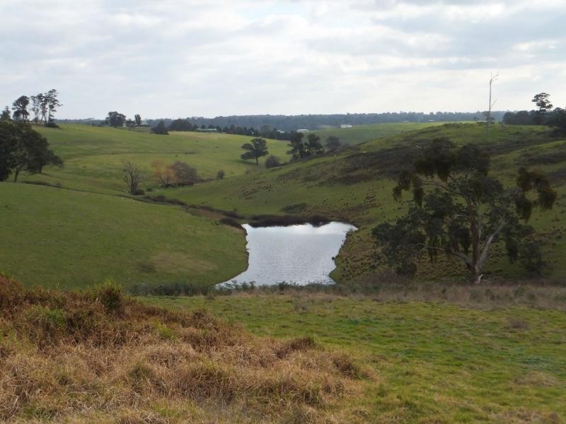 111 Stones Road, Swan Reach VIC 3903