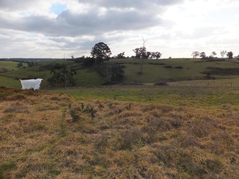 111 Stones Road, Swan Reach VIC 3903