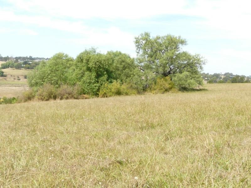 234 Bullumwaal Road, Wy Yung VIC 3875