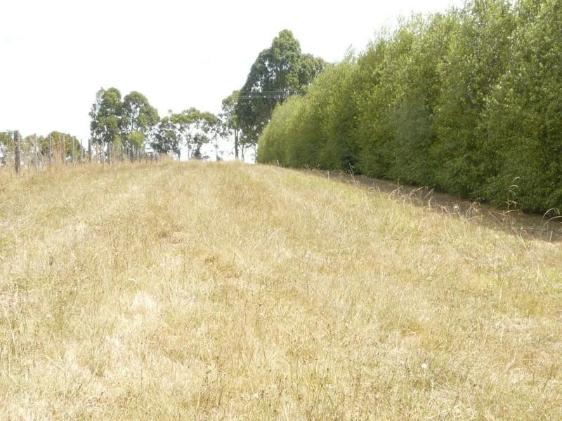 234 Bullumwaal Road, Wy Yung VIC 3875