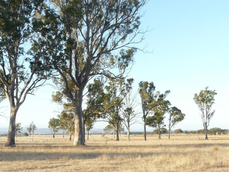 1480 Princes Highway, Bairnsdale VIC 3875