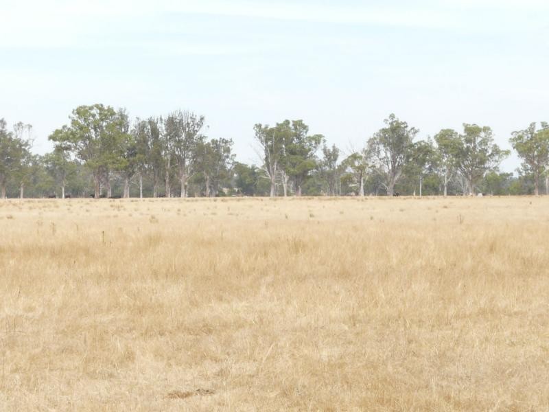 1480 Princes Highway, Bairnsdale VIC 3875