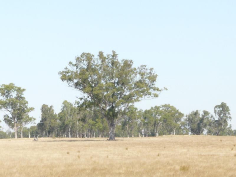 1480 Princes Highway, Bairnsdale VIC 3875