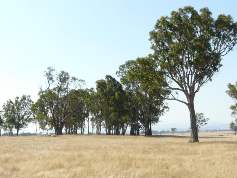 1480 Princes Highway, Bairnsdale VIC 3875