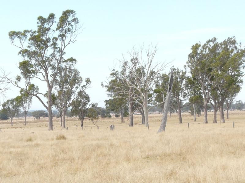 1480 Princes Highway, Bairnsdale VIC 3875