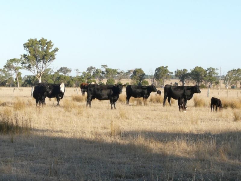 1480 Princes Highway, Bairnsdale VIC 3875