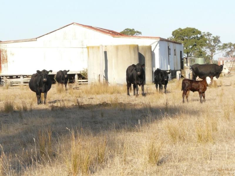 1480 Princes Highway, Bairnsdale VIC 3875