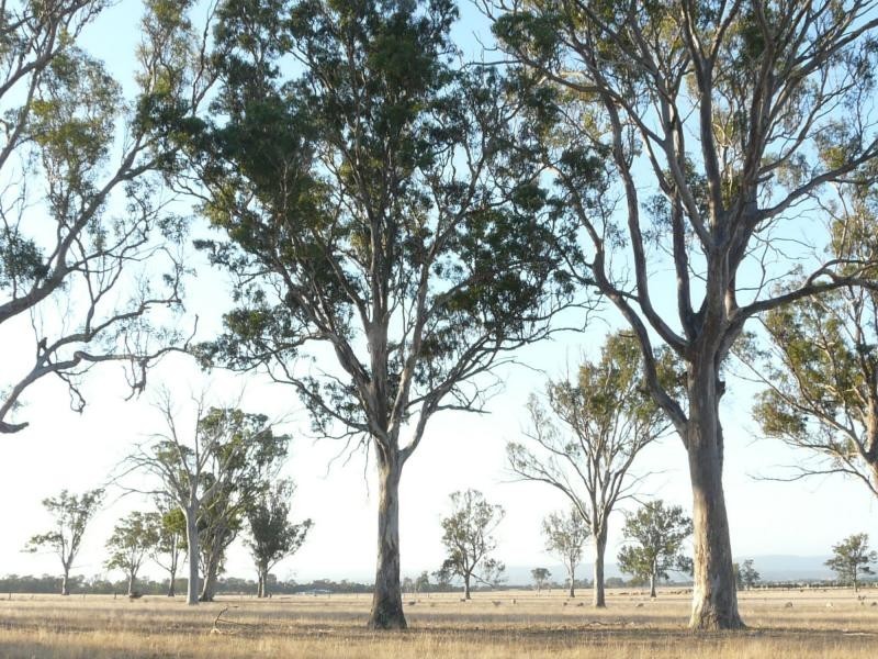 1480 Princes Highway, Bairnsdale VIC 3875