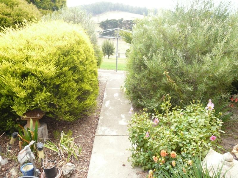 30 Nicholson Creek Road, Wiseleigh VIC 3885