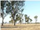 1480 Princes Highway, Bairnsdale VIC 3875