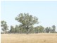 1480 Princes Highway, Bairnsdale VIC 3875