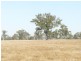 1480 Princes Highway, Bairnsdale VIC 3875