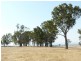 1480 Princes Highway, Bairnsdale VIC 3875