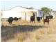 1480 Princes Highway, Bairnsdale VIC 3875