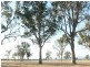1480 Princes Highway, Bairnsdale VIC 3875