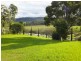 79 Great Alpine Road, Bruthen VIC 3885