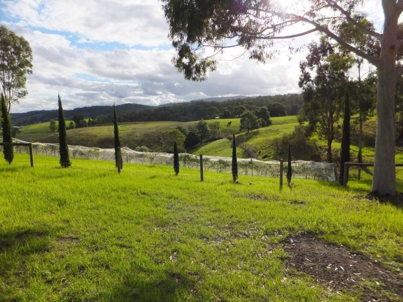 79 Great Alpine Road, Bruthen VIC 3885