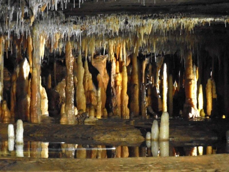 5550 Buchan Orbost Road, Buchan VIC 3885